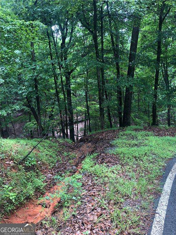 6055 Crested Iris Circle Jasper GA 30143