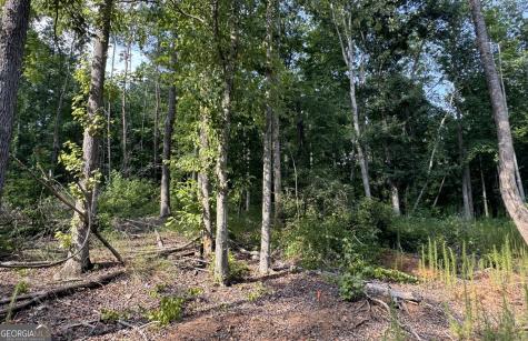 Lot 6 Parker Point Cornelia GA 30531