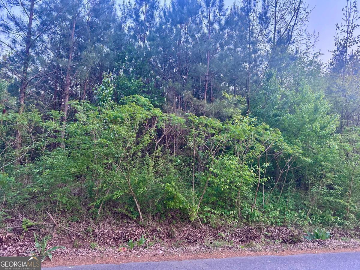 113 Old Alabama Wagon Road Taylorsville GA 30178