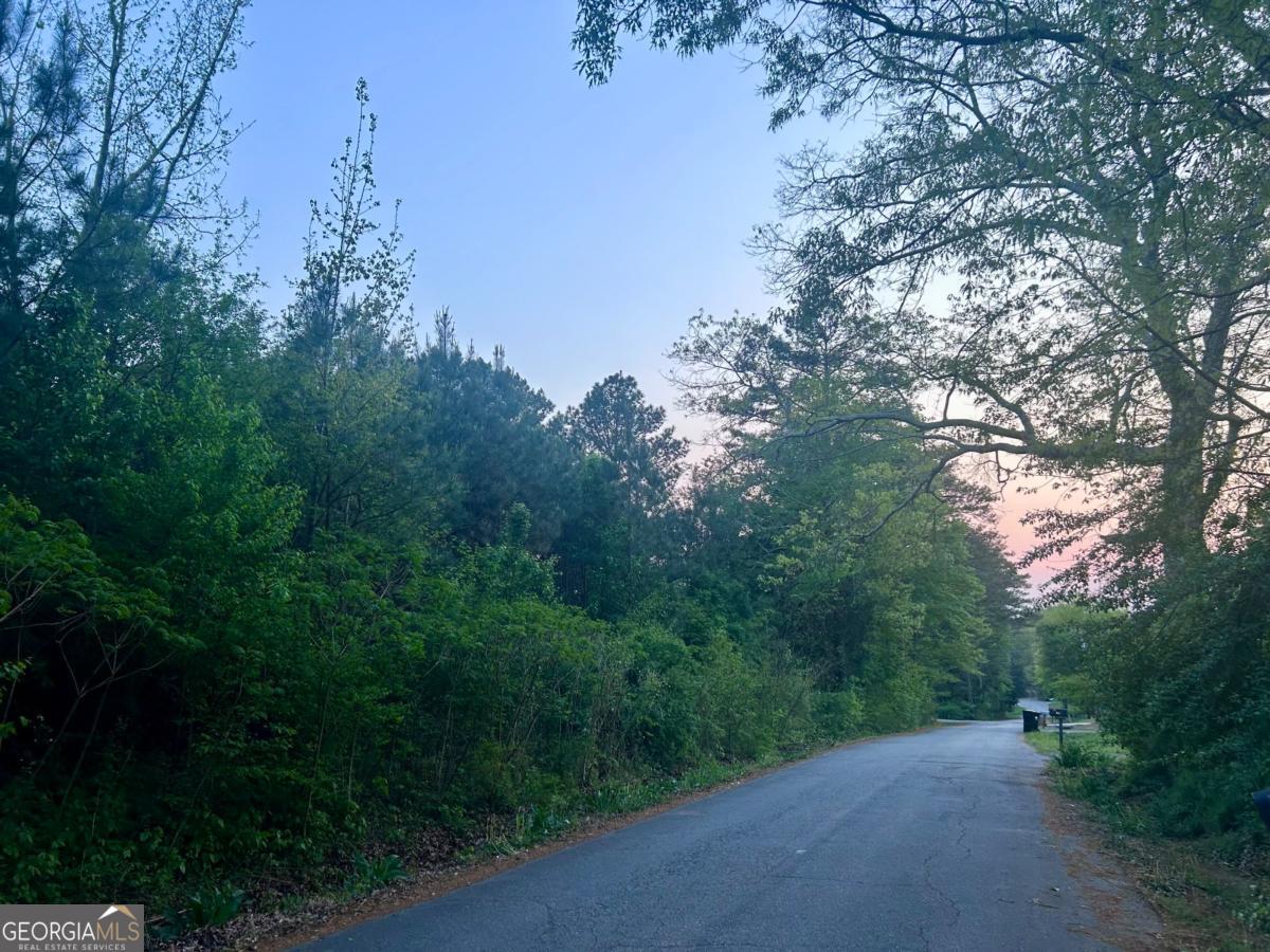 113 Old Alabama Wagon Road Taylorsville GA 30178