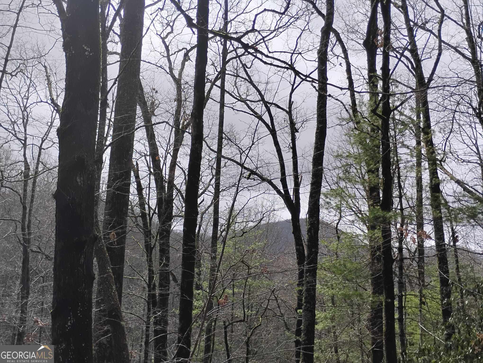 0 Lot 289 Cobblewood Trail Sky Valley GA 30537