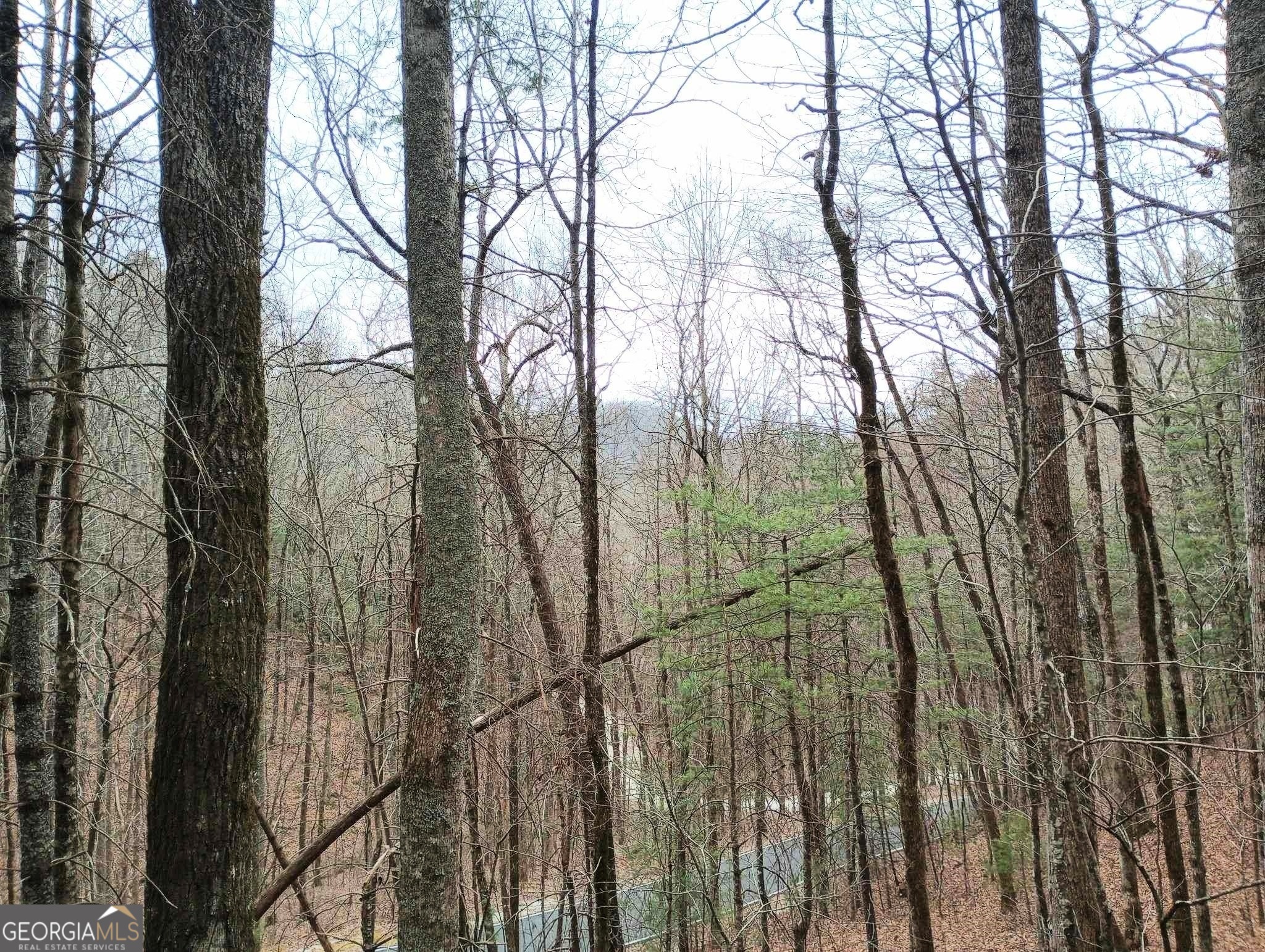 0 Lot 289 Cobblewood Trail Sky Valley GA 30537