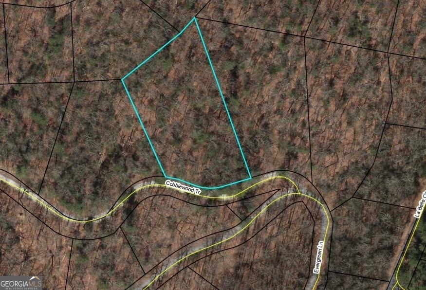 0 Lot 289 Cobblewood Trail Sky Valley GA 30537