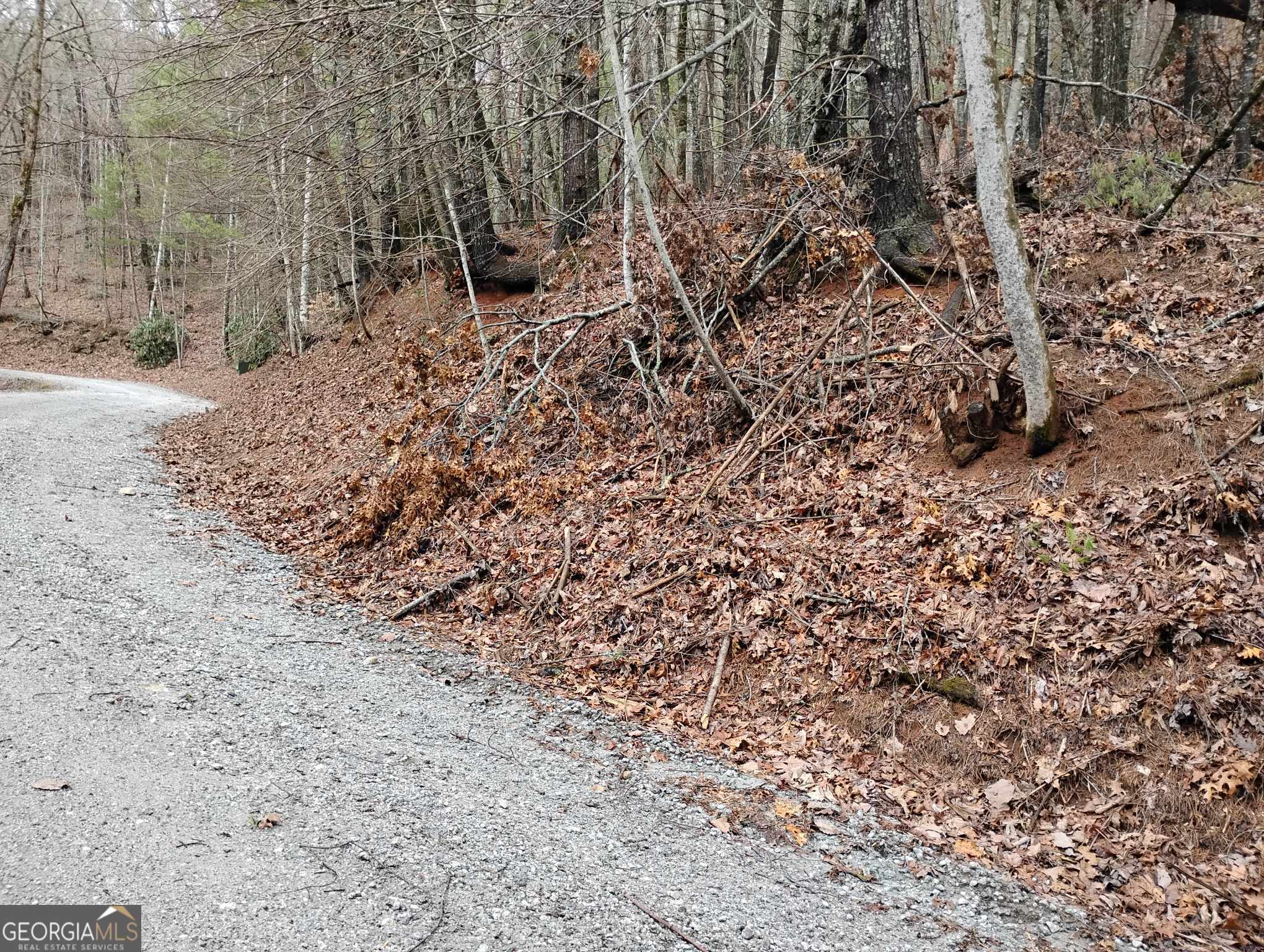 0 Lot 289 Cobblewood Trail Sky Valley GA 30537