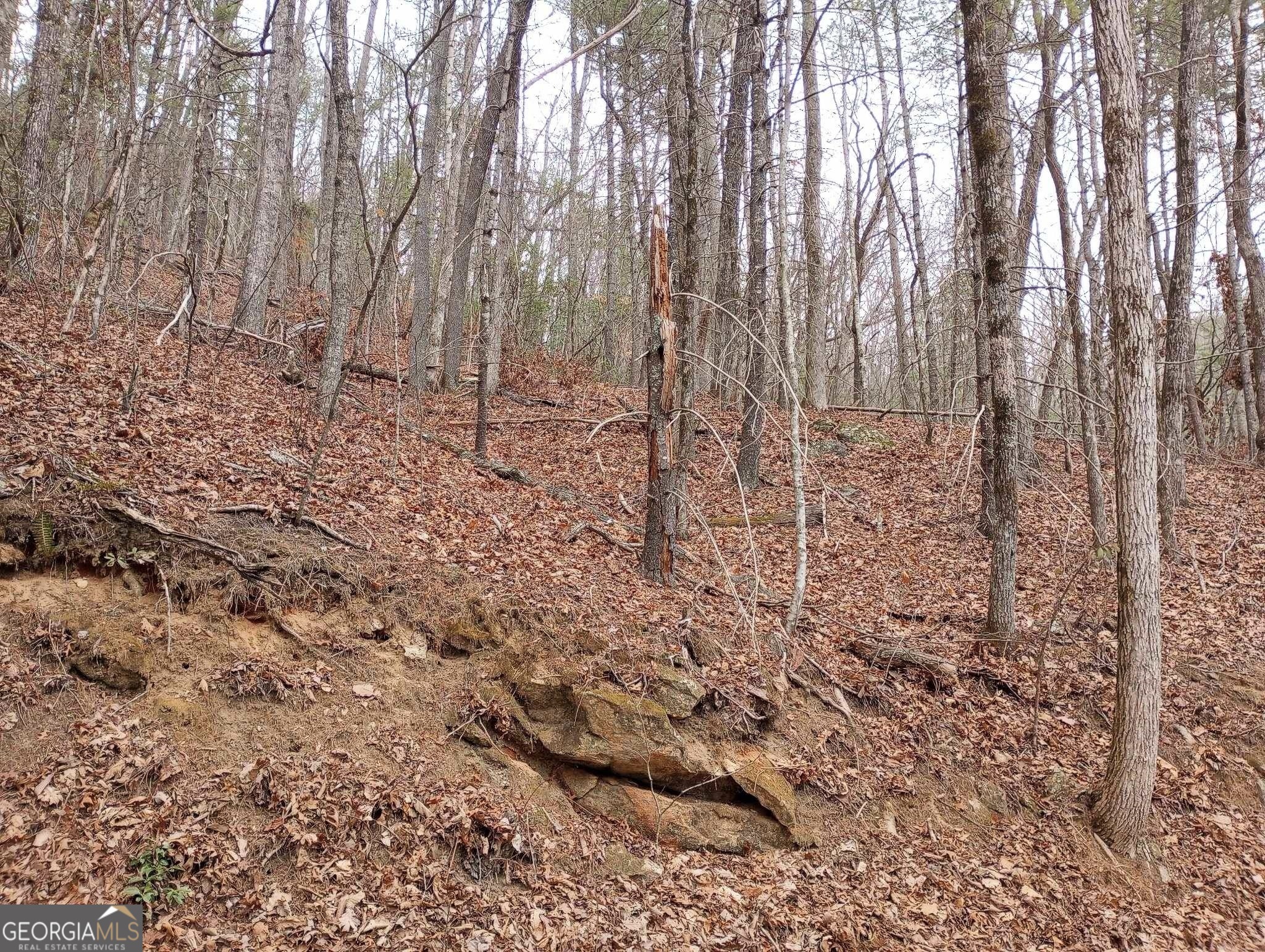 0 Lot 289 Cobblewood Trail Sky Valley GA 30537