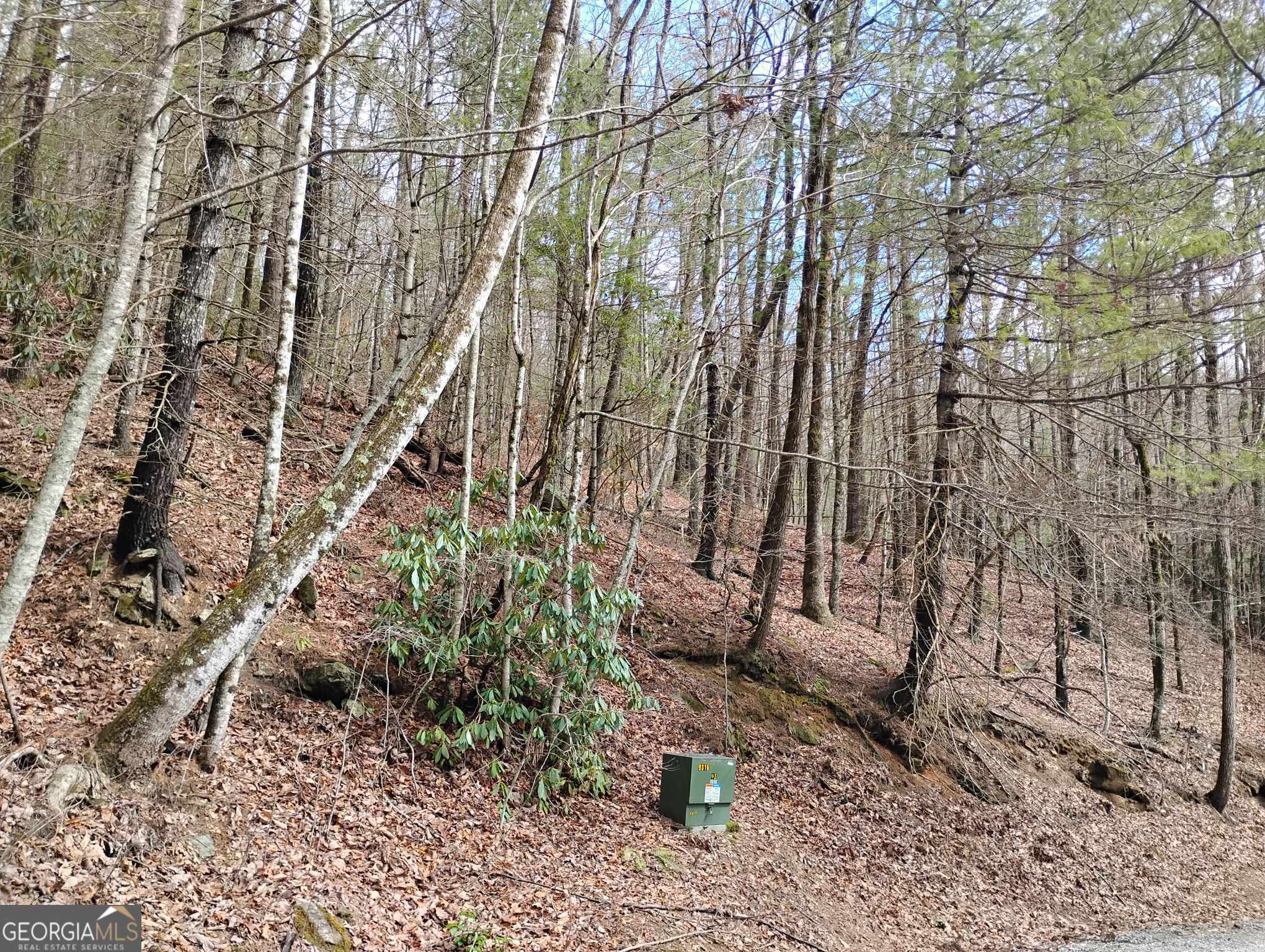 0 Lot 289 Cobblewood Trail Sky Valley GA 30537