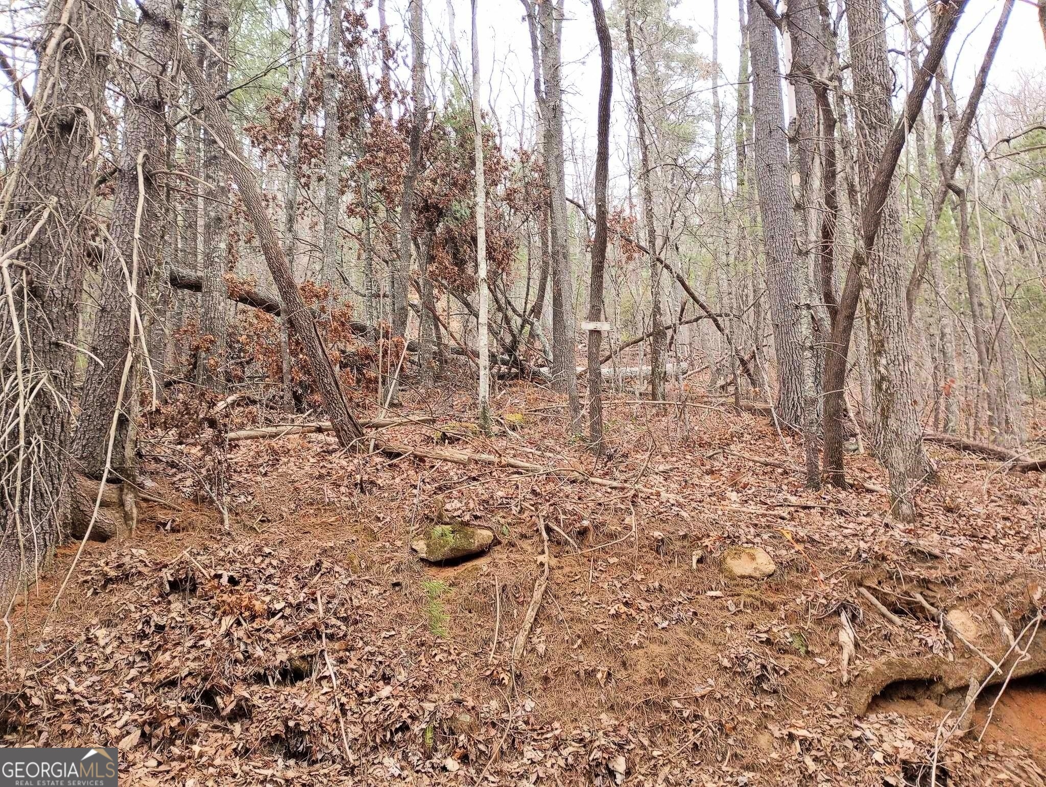 0 Lot 289 Cobblewood Trail Sky Valley GA 30537