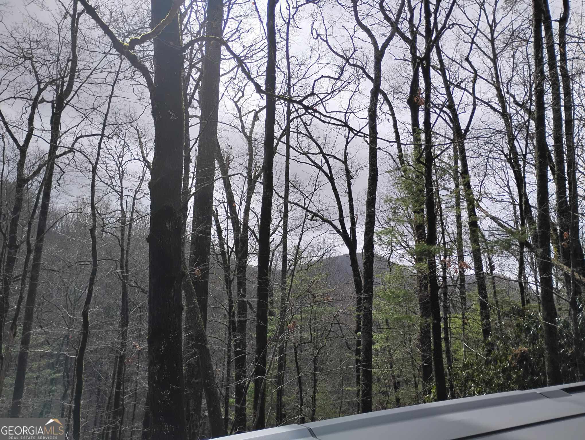0 Lot 289 Cobblewood Trail Sky Valley GA 30537
