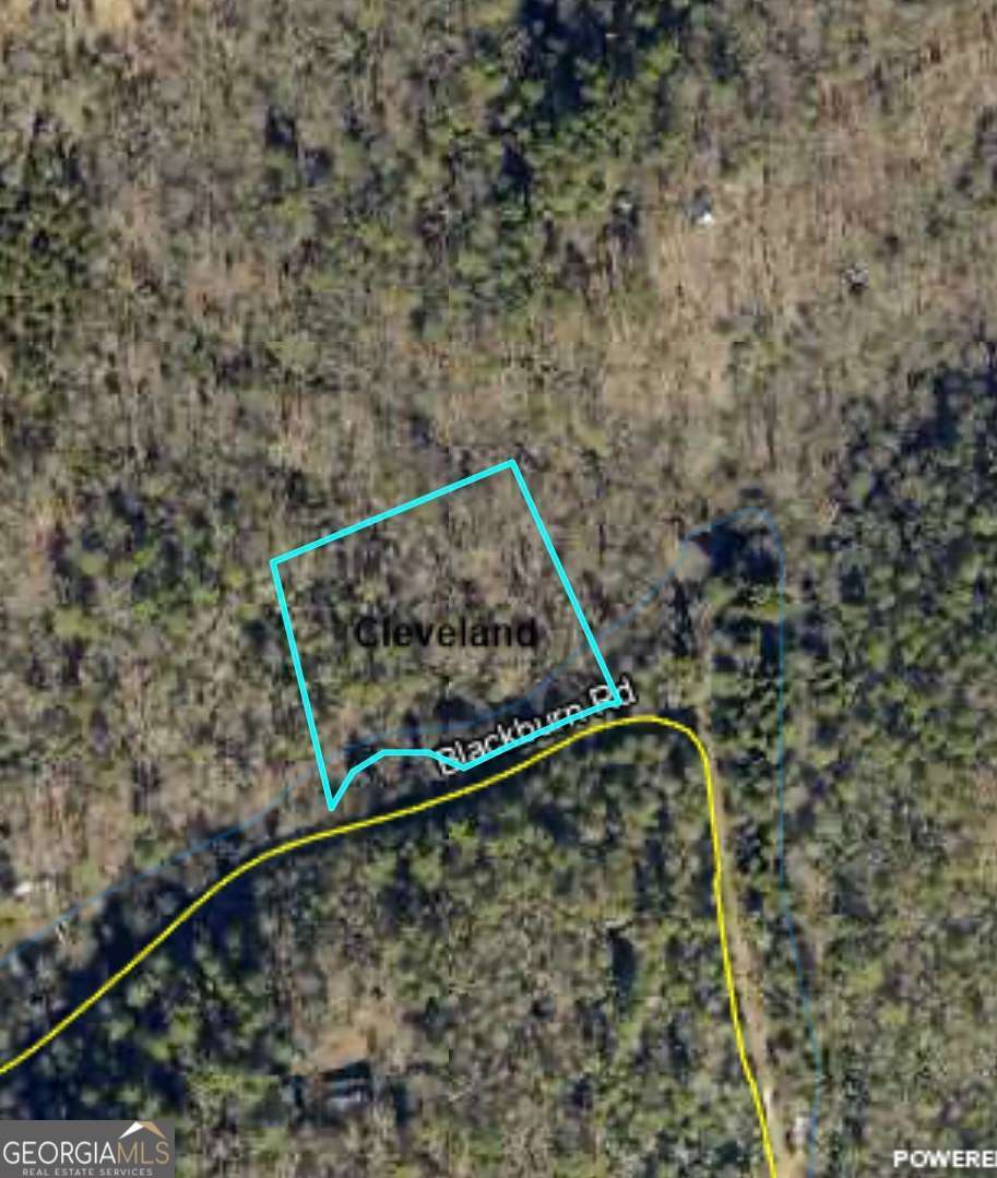 0 Blackburn Road Cleveland GA 30528