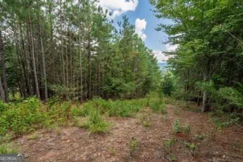 Lot 29 Sunset View Blairsville GA 30512