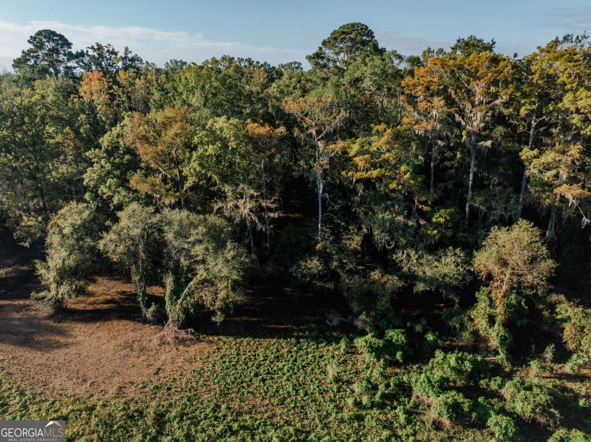 0 Eagles Point Surrency GA 31563