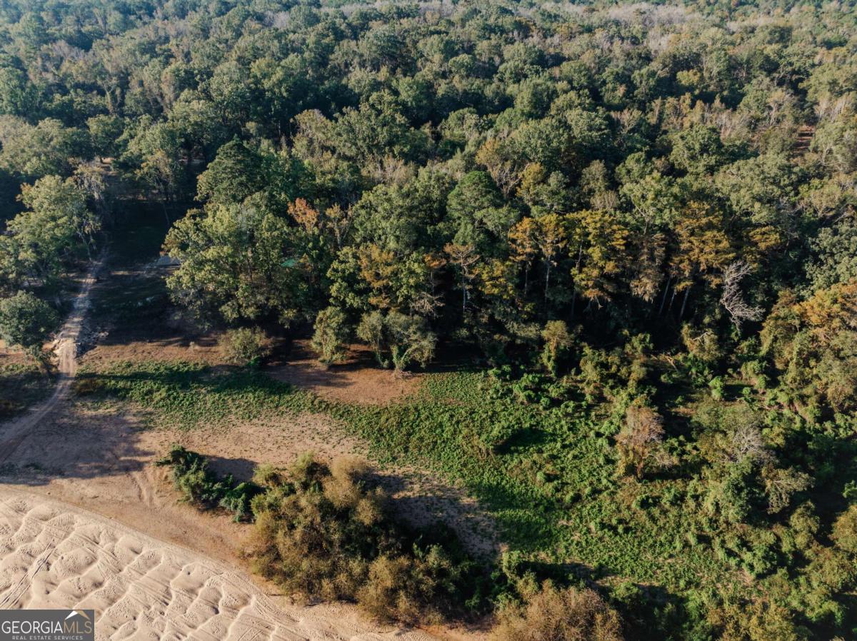 0 Eagles Point Surrency GA 31563