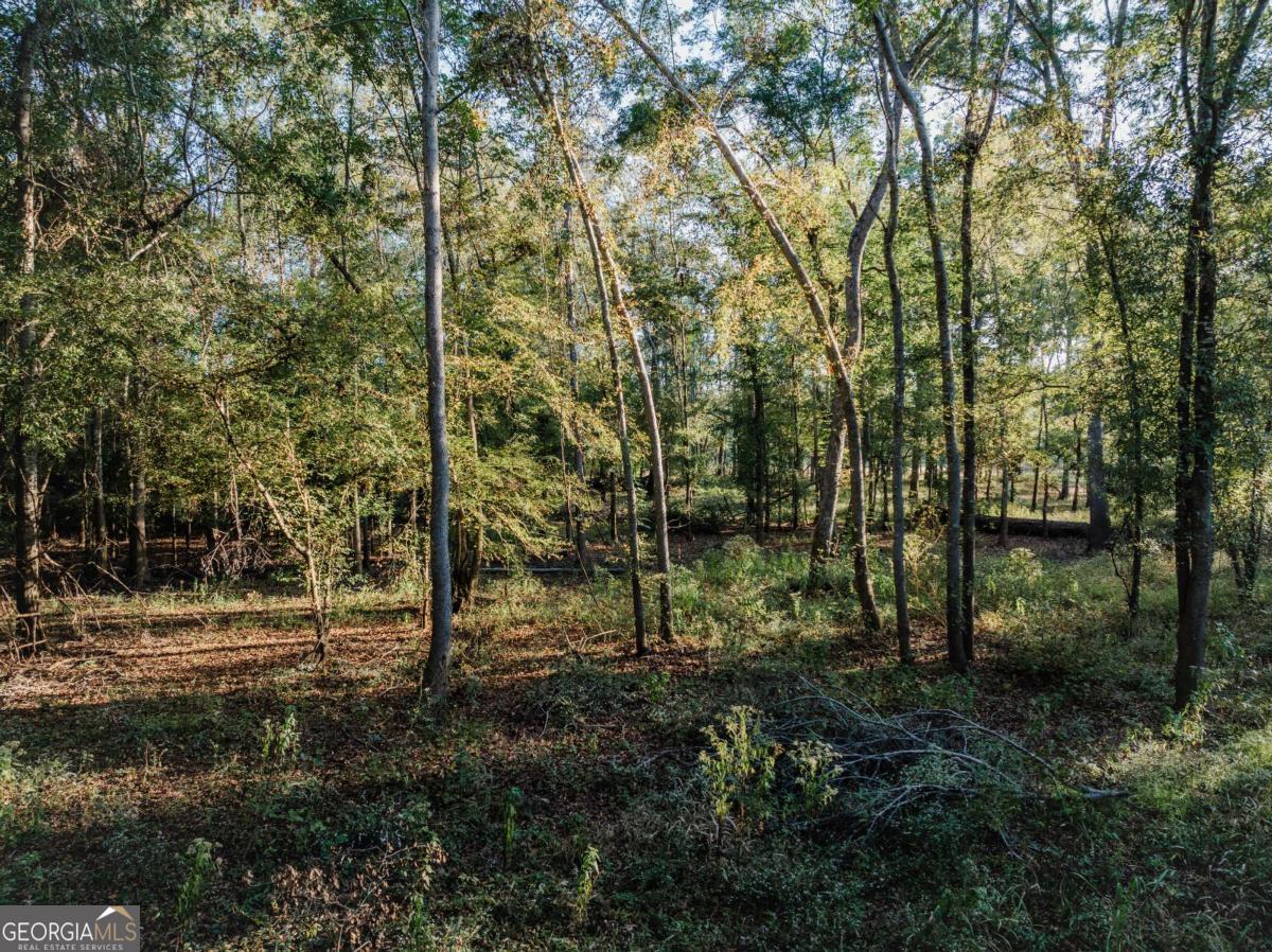 0 Eagles Point Surrency GA 31563