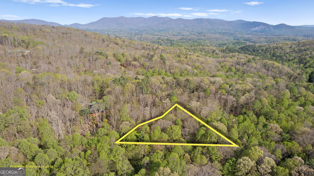 0 Poplar Hollow Road Ellijay GA 30540