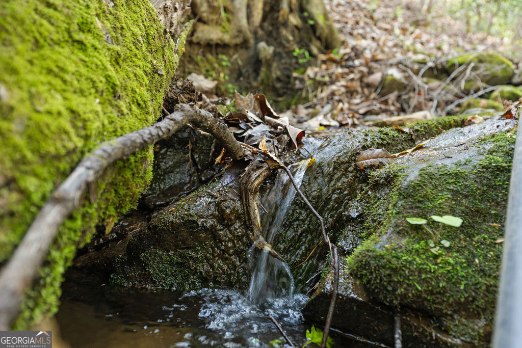 0 Poplar Hollow Road Ellijay GA 30540