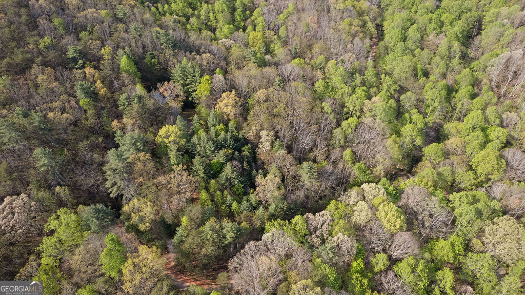 0 Poplar Hollow Road Ellijay GA 30540