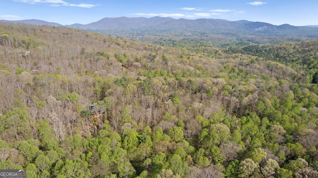 0 Poplar Hollow Road Ellijay GA 30540