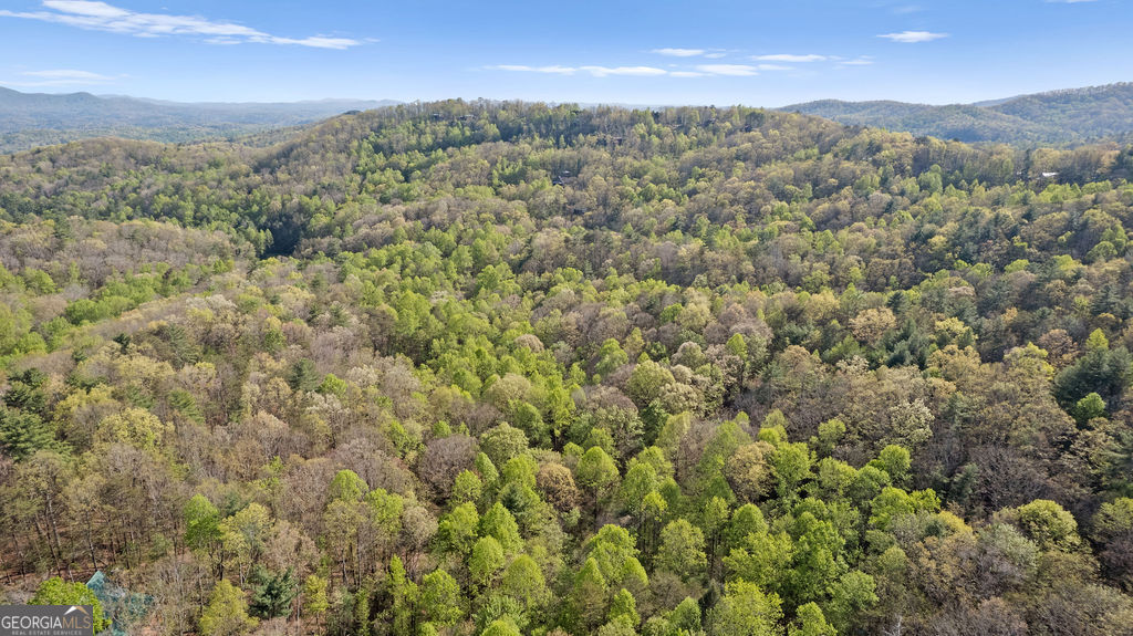 0 Poplar Hollow Road Ellijay GA 30540