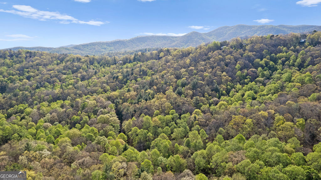 0 Poplar Hollow Road Ellijay GA 30540