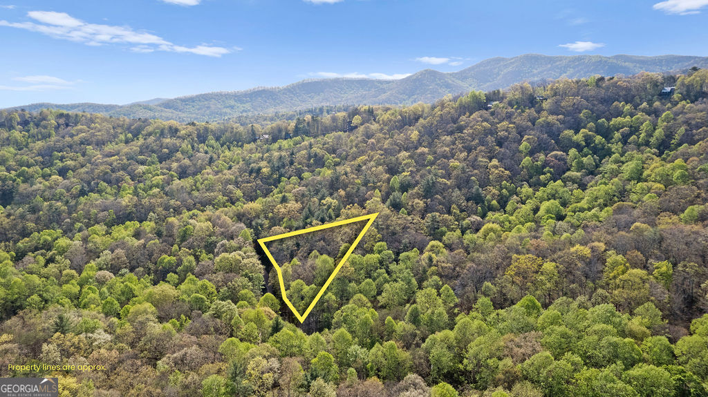 0 Poplar Hollow Road Ellijay GA 30540