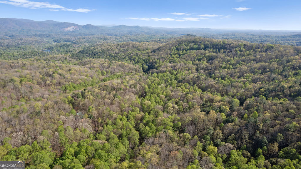 0 Poplar Hollow Road Ellijay GA 30540