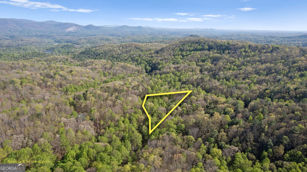 0 Poplar Hollow Road Ellijay GA 30540