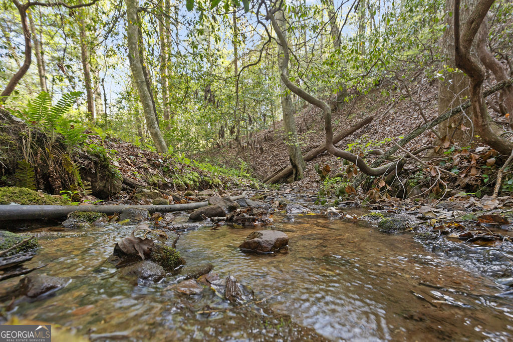0 Poplar Hollow Road Ellijay GA 30540