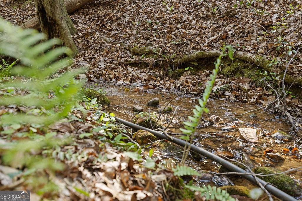 0 Poplar Hollow Road Ellijay GA 30540