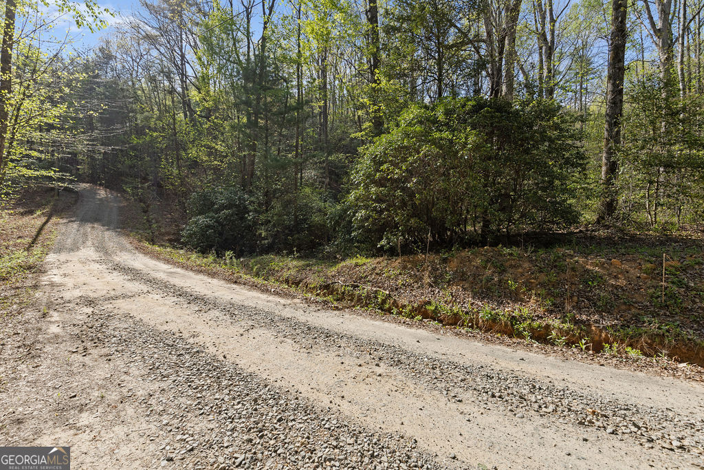 0 Poplar Hollow Road Ellijay GA 30540