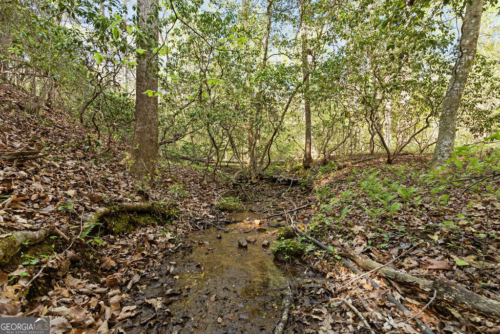 0 Poplar Hollow Road Ellijay GA 30540