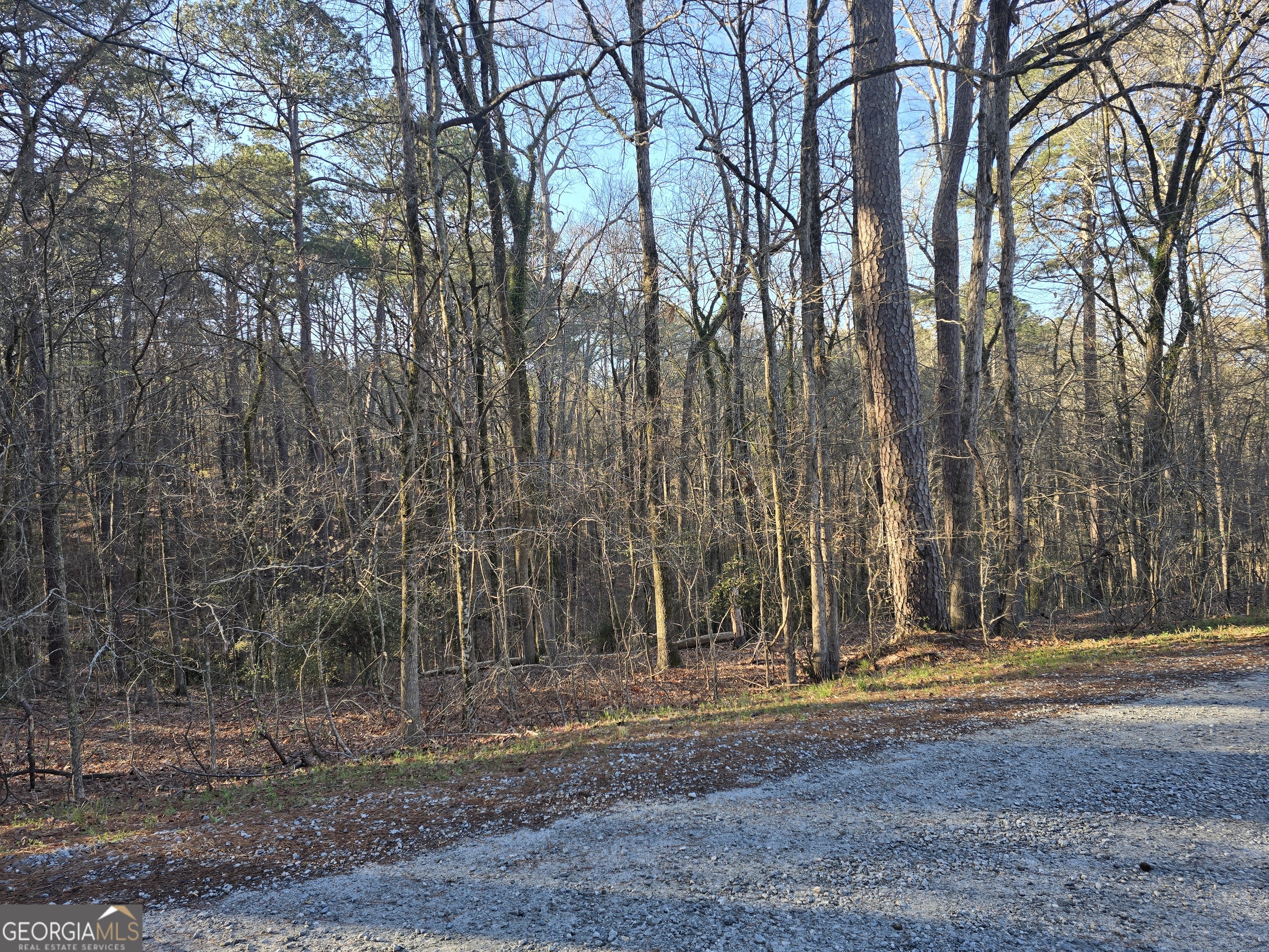 0 Bobwhite Court Monticello GA 31064