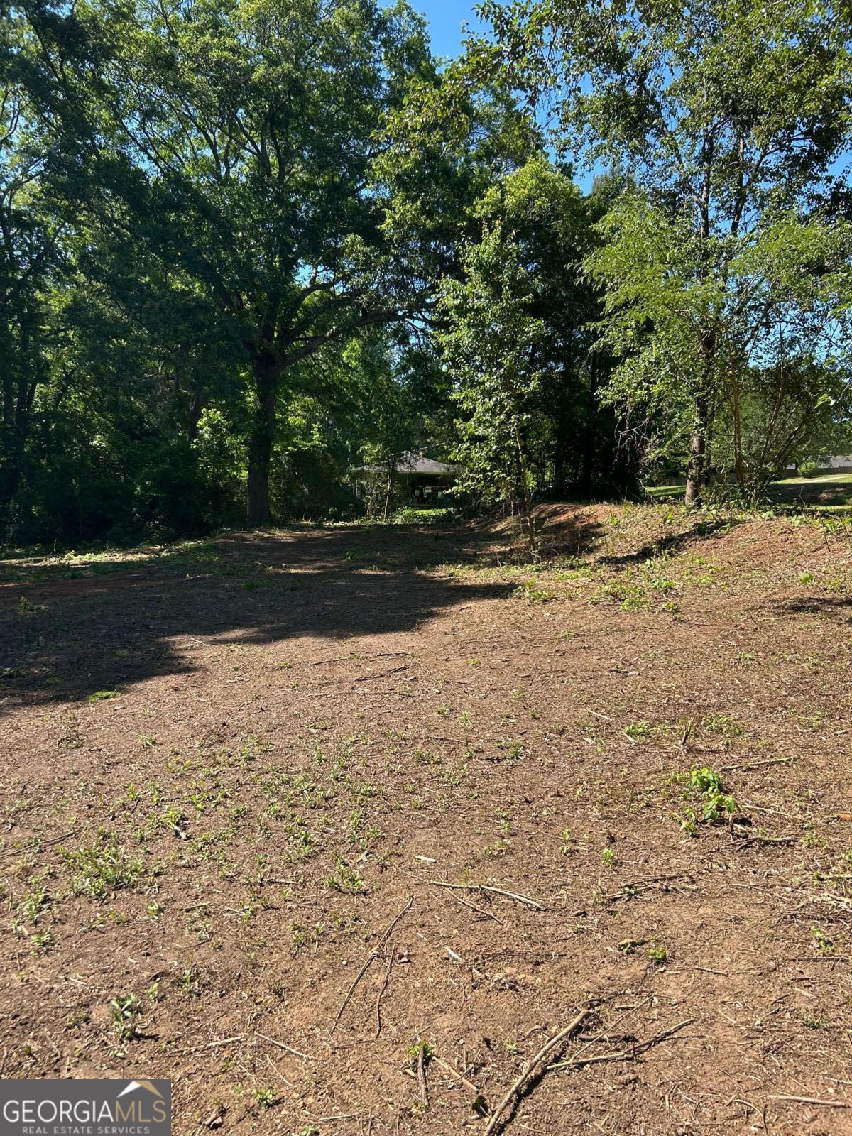 0 Highway 113 Carrollton GA 30117