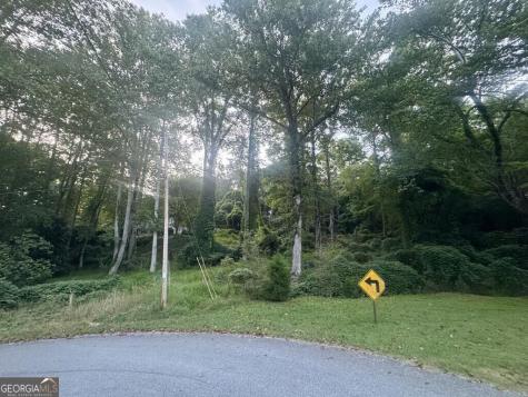 Lot 53 Circle Drive Morganton GA 30560