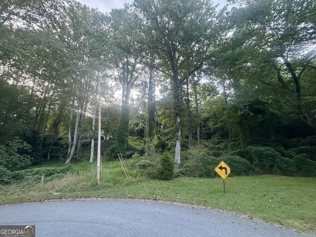 Lot 53 Circle Drive Morganton GA 30560