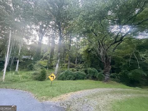 Lot 53 Circle Drive Morganton GA 30560
