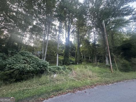 Lot 53 Circle Drive Morganton GA 30560
