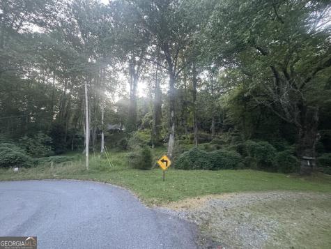 Lot 53 Circle Drive Morganton GA 30560