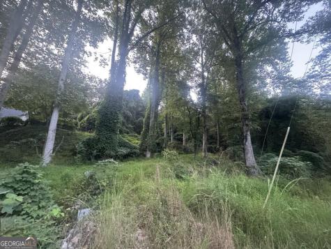 Lot 53 Circle Drive Morganton GA 30560