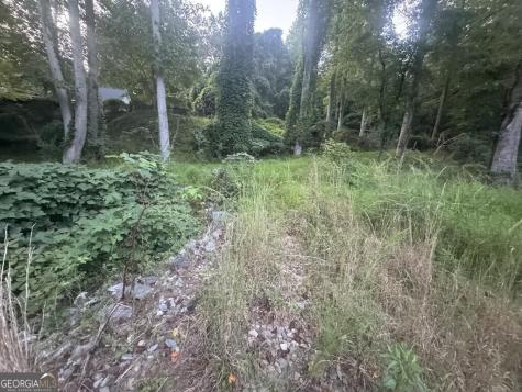 Lot 53 Circle Drive Morganton GA 30560
