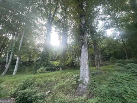 Lot 53 Circle Drive Morganton GA 30560