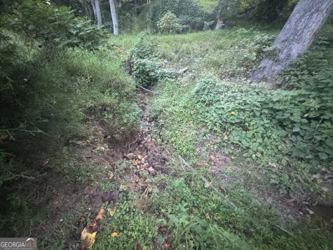 Lot 53 Circle Drive Morganton GA 30560