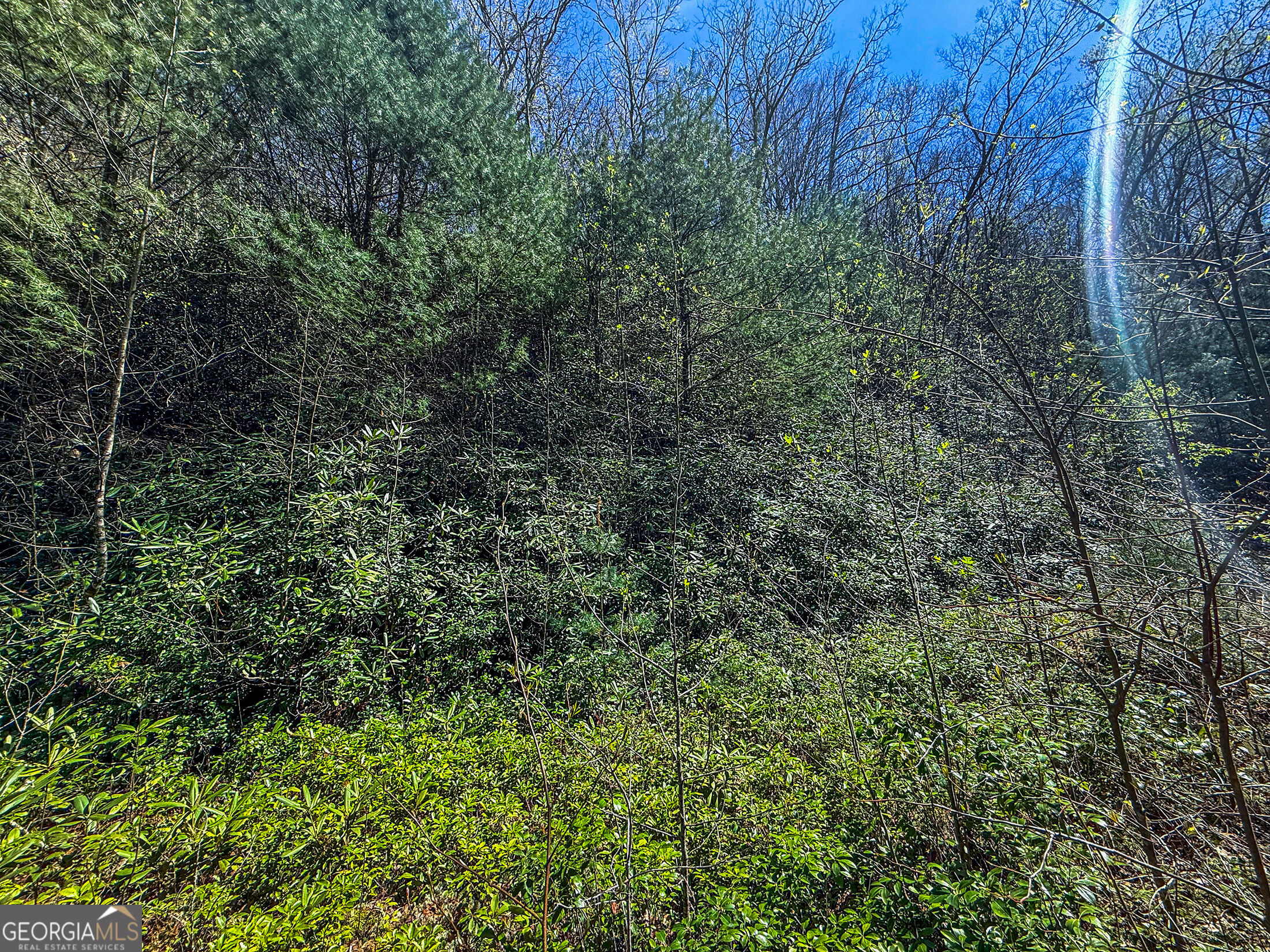 Tr 5 Outback Lane Rabun Gap GA 30568