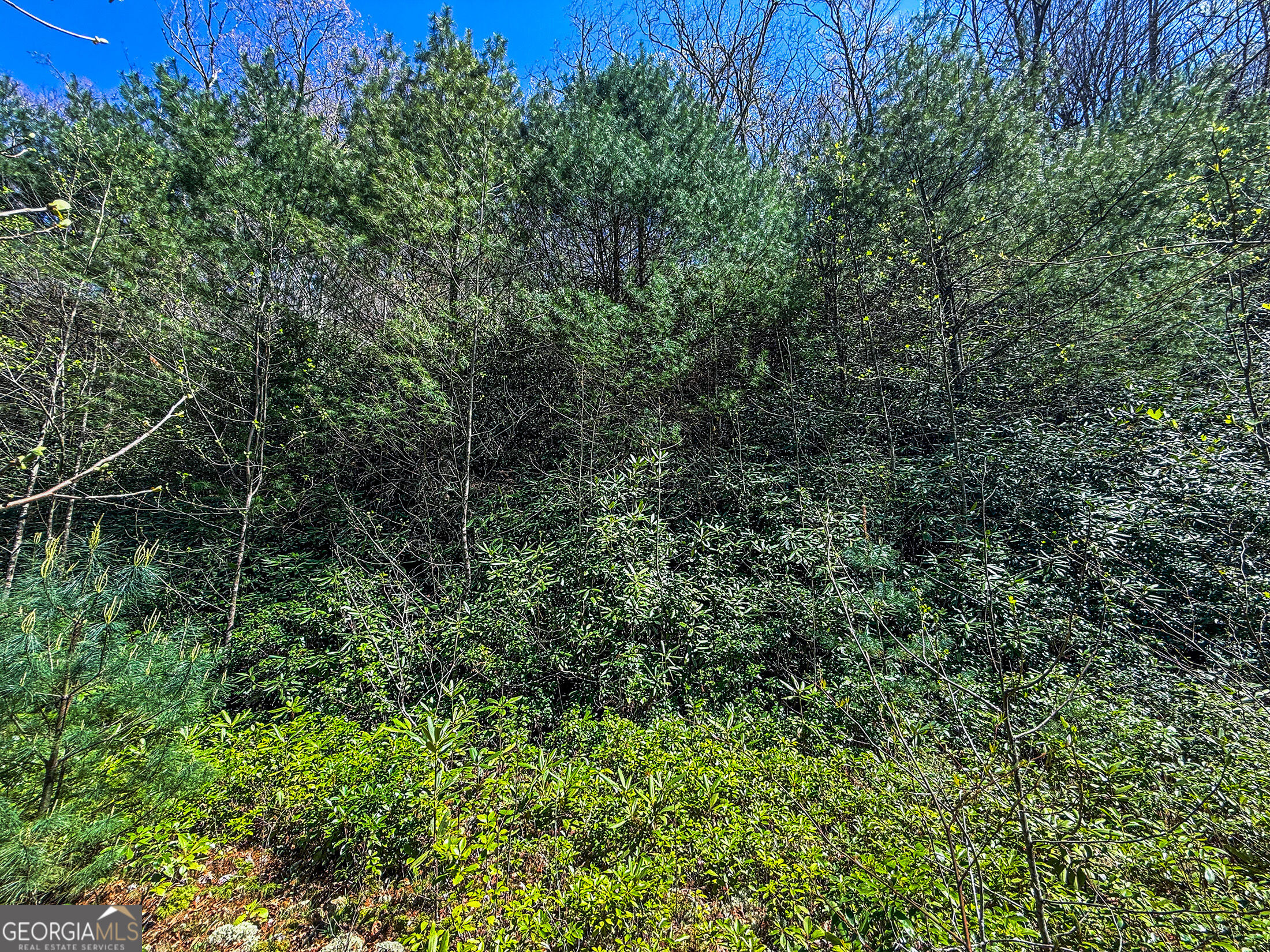Tr 5 Outback Lane Rabun Gap GA 30568