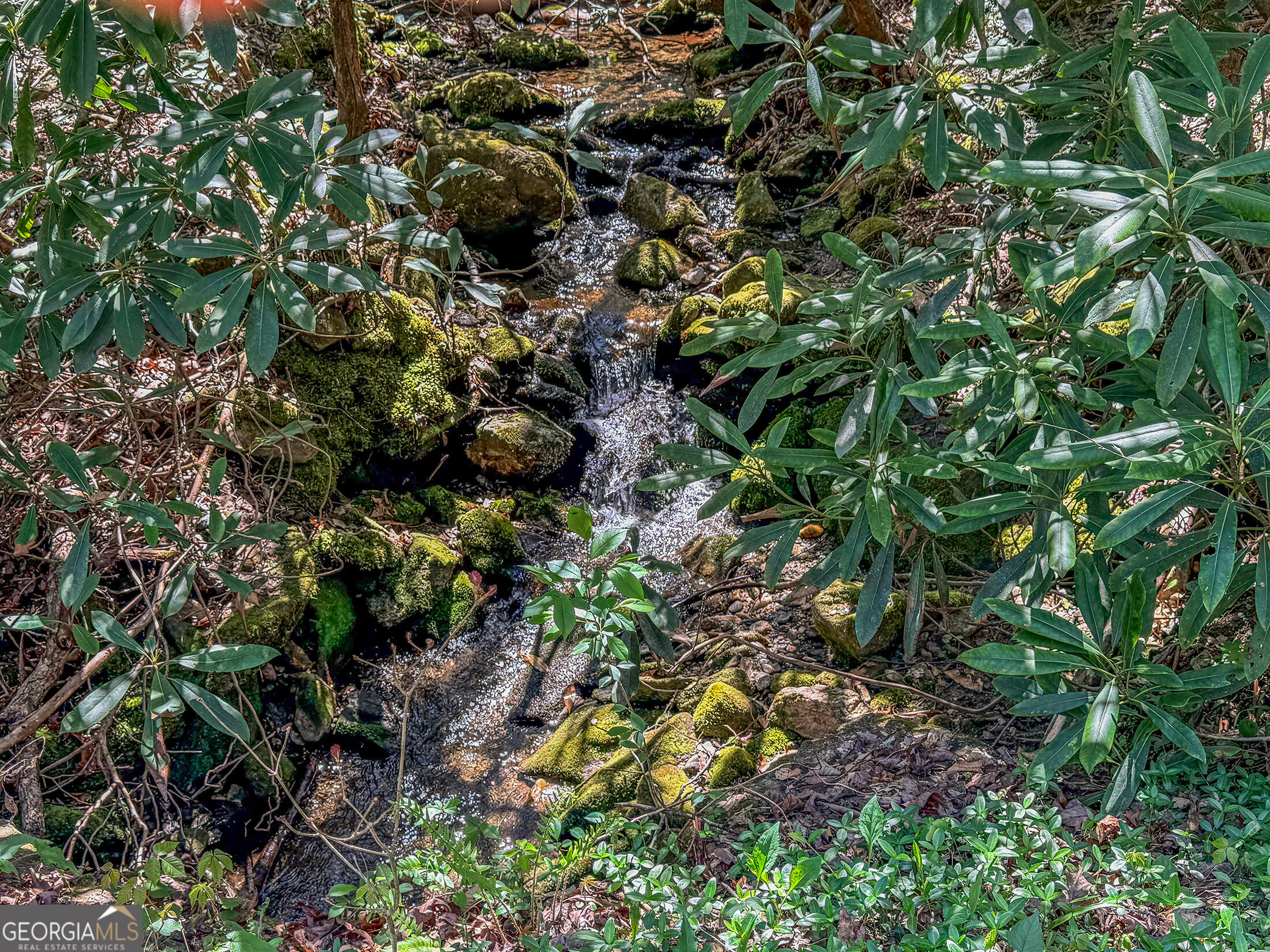 Tr 5 Outback Lane Rabun Gap GA 30568
