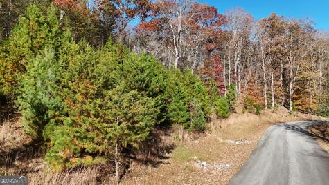 Lot 184 Northshore Drive Cleveland GA 30528