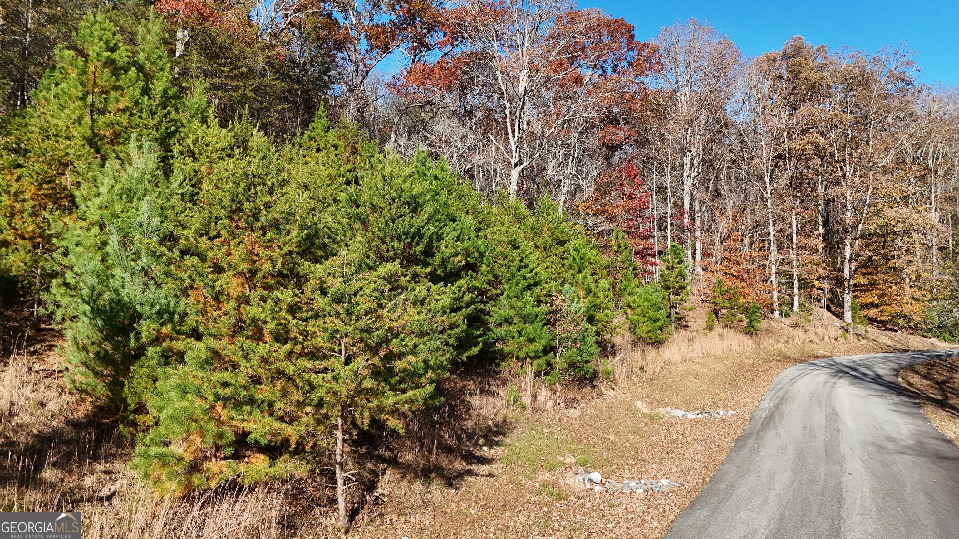 Lot 184 Northshore Drive Cleveland GA 30528
