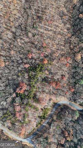 Lot 184 Northshore Drive Cleveland GA 30528