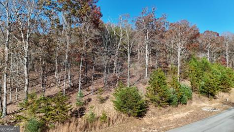 Lot 184 Northshore Drive Cleveland GA 30528