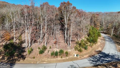 Lot 184 Northshore Drive Cleveland GA 30528