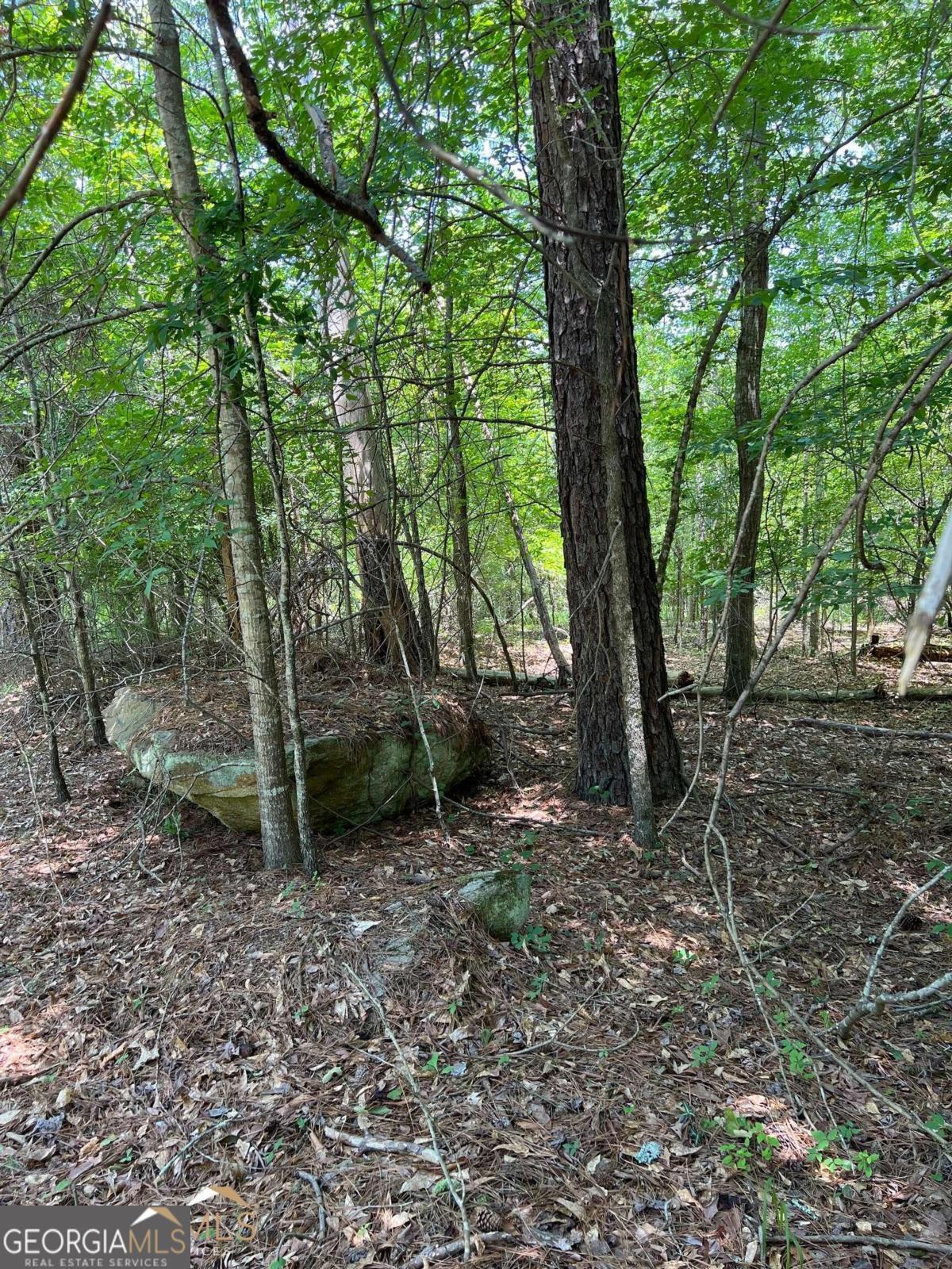 0 Crooked Creek Bay Road Eatonton GA 31024
